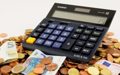 LLC steuerfrei nutzen: So funktioniert es wirklich