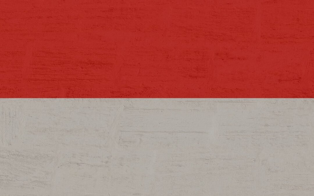 Mit einer US-LLC in Indonesien leben