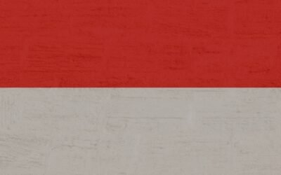 Mit einer US-LLC in Indonesien leben