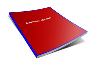 Annual Report LLC einreichen – Schritt für Schritt Anleitung